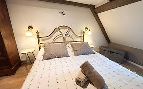 L'Harmonie Des Combles - Proche Gare - Petite France - Commerces A Proximite