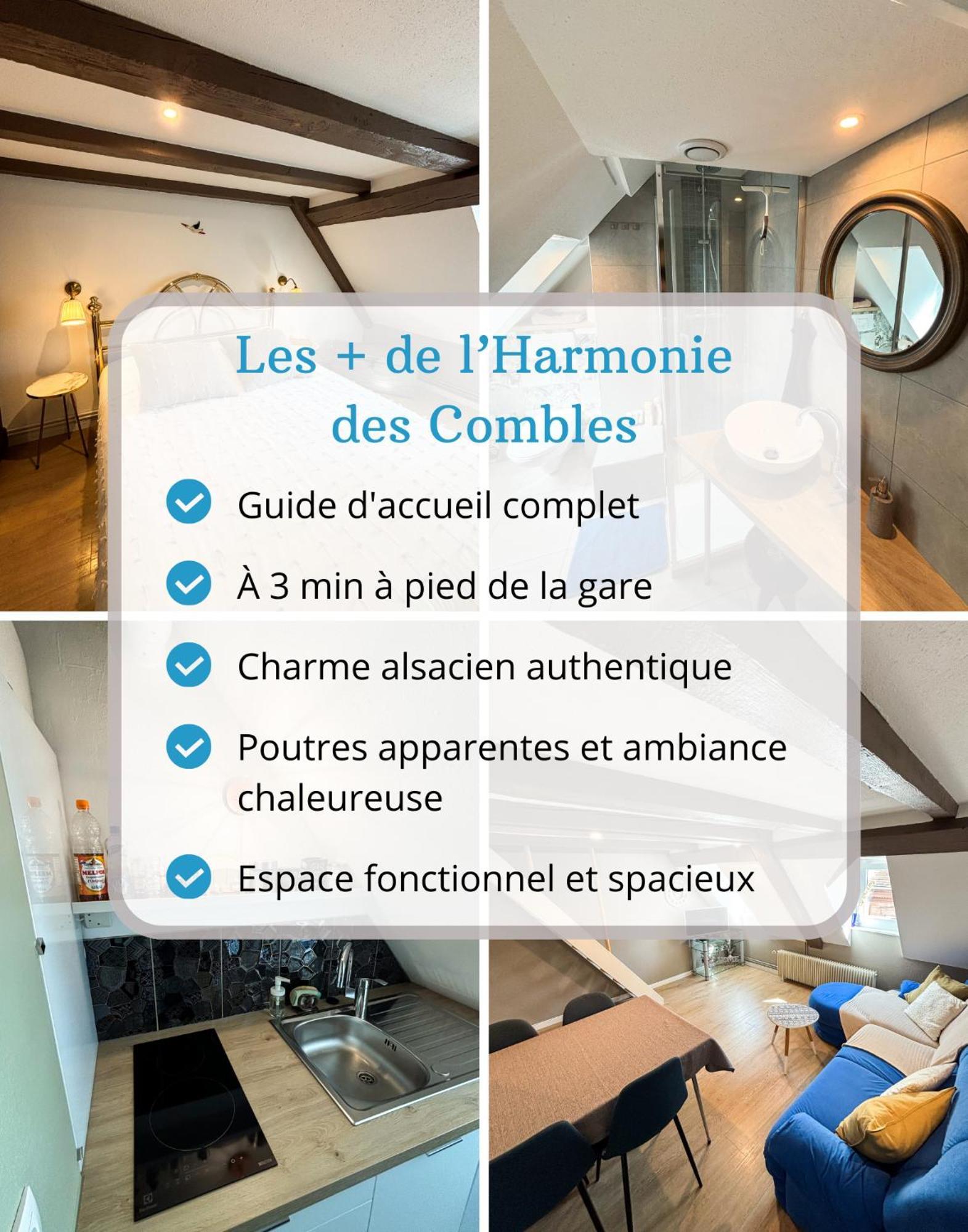 L'Harmonie Des Combles - Proche Gare - Petite France - Commerces A Proximite Strasbourg Extérieur photo