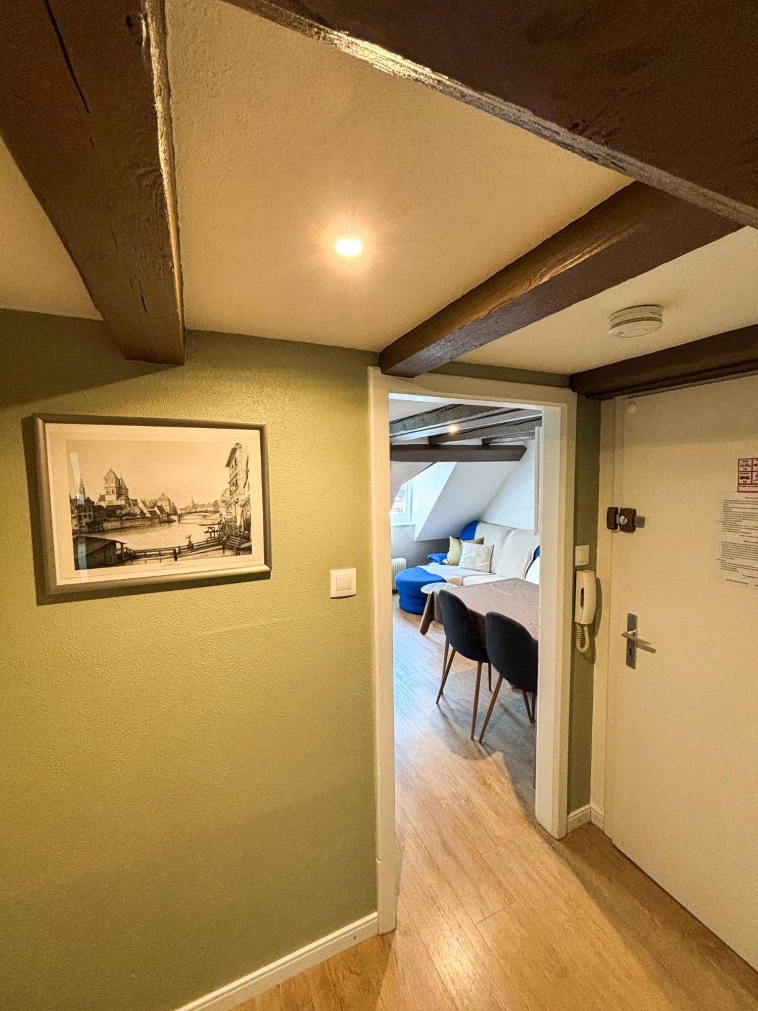 L'Harmonie Des Combles - Proche Gare - Petite France - Commerces A Proximite Strasbourg Extérieur photo